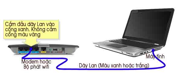 Bắt đầu kiểm tra Bắt đầu kiểm tra